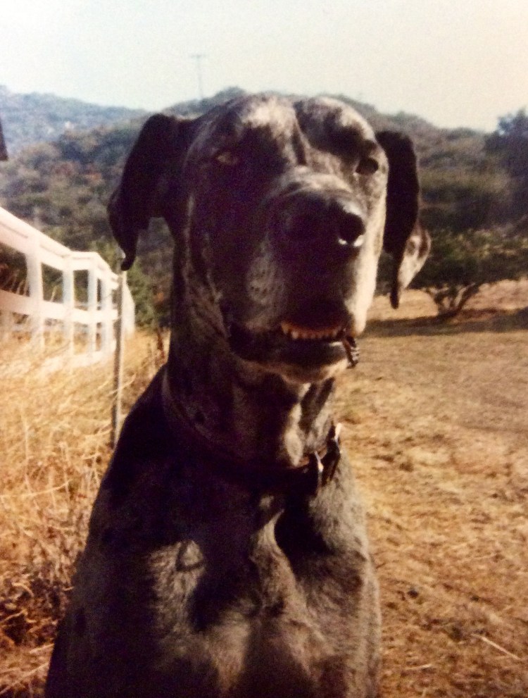 That sweet Sammy smile.