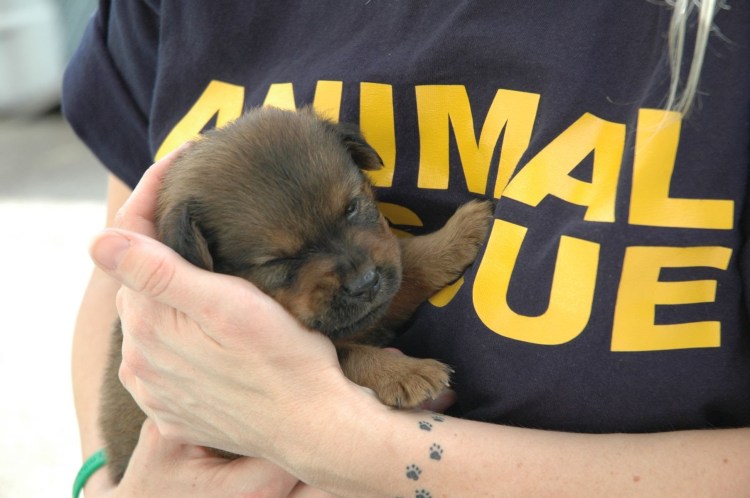 Photo credit: youtube.com