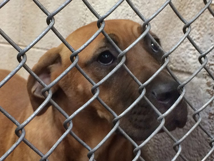 Mandy pleading with us to get her out of there. 