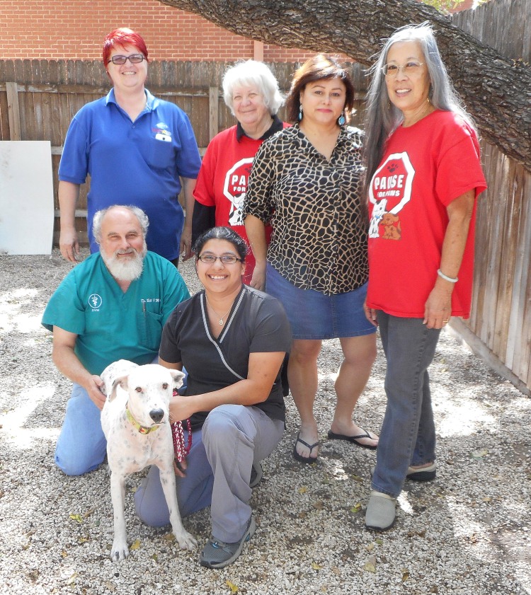 Sunshine's incredible village of rescuers. From left to right, back row: Caron Comas, Sharal Mackenzie, Elsa Benavidas and Deanna Lee from SOS-SATX; front row: Dr. Bill McGehee, Miss Caron Sunshine and Jennifer Rodriguez. Photo credit: Pause for Paws.