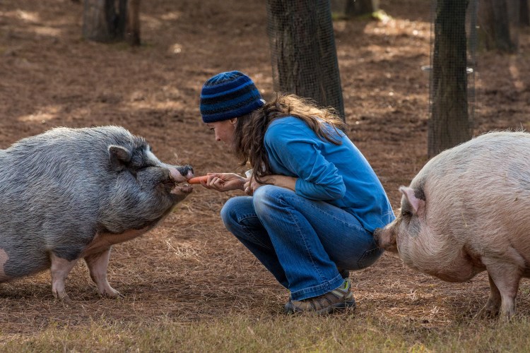 Orwell&amp;PrinceCharming