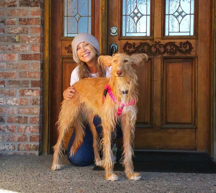 Rain &amp; Dahlia-blog crop