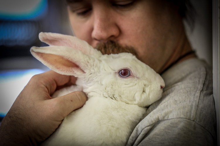 Chris Keys &amp; Bree